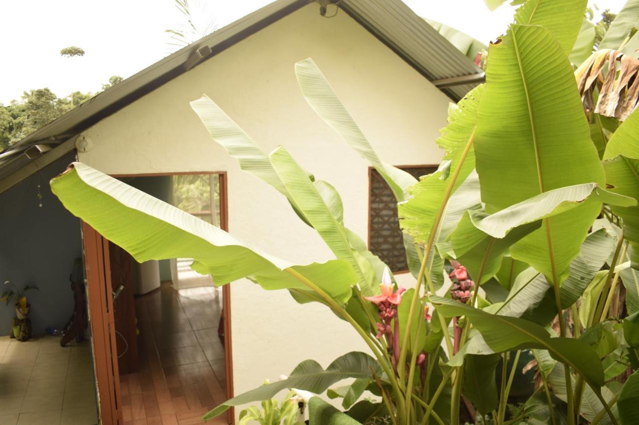 Drakes BayCasita Tangara Con Balcon Y Agua Calienteアパートメント エクステリア 写真