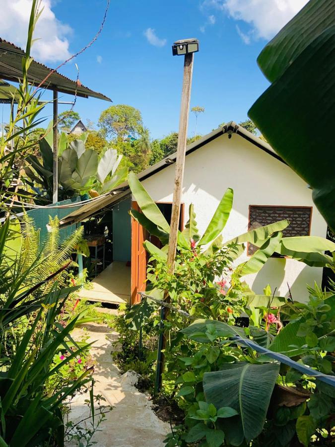 Drakes BayCasita Tangara Con Balcon Y Agua Calienteアパートメント エクステリア 写真